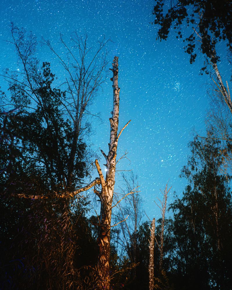 Фотография автора Oleg Suhenko