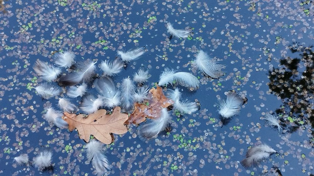 Photograph by Блюмина Елена