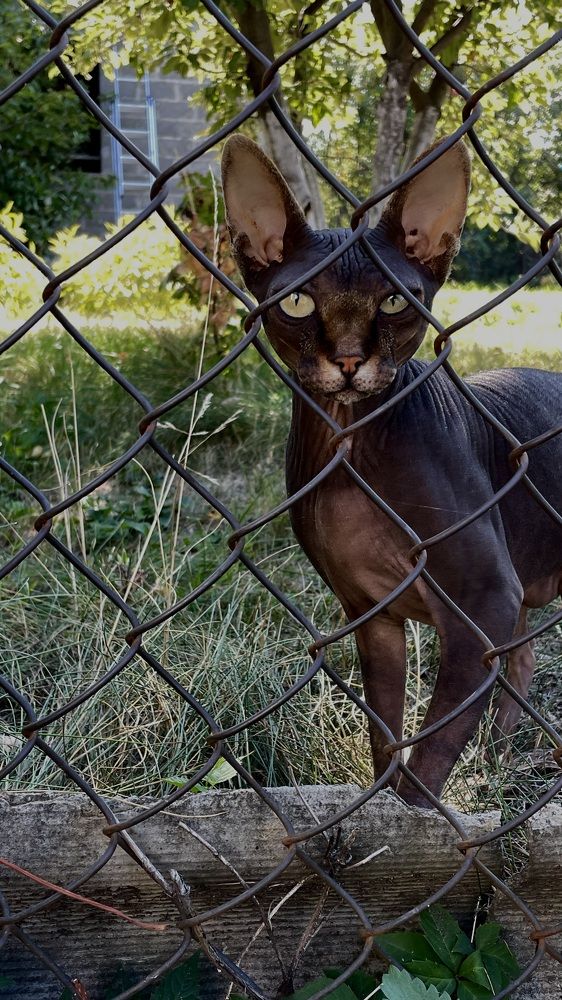 Photograph by Юлия Немцова