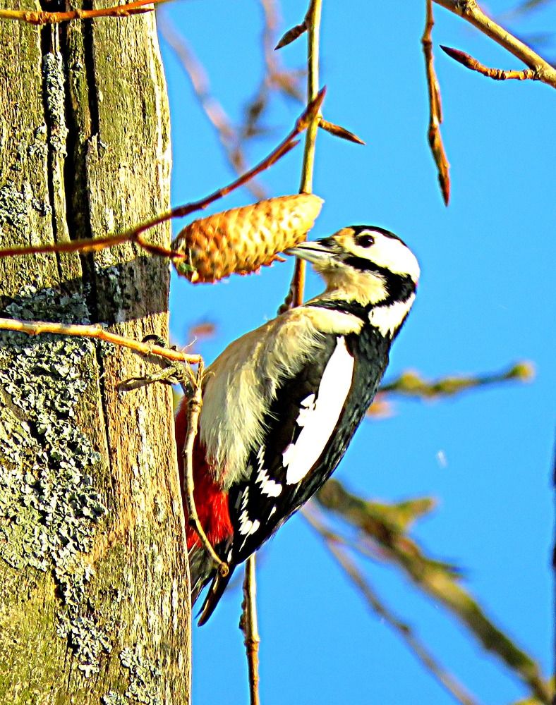 Photograph by Галина Пименова