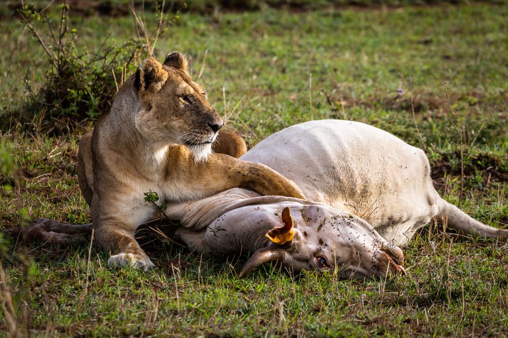 Photograph by Александр Горшенин
