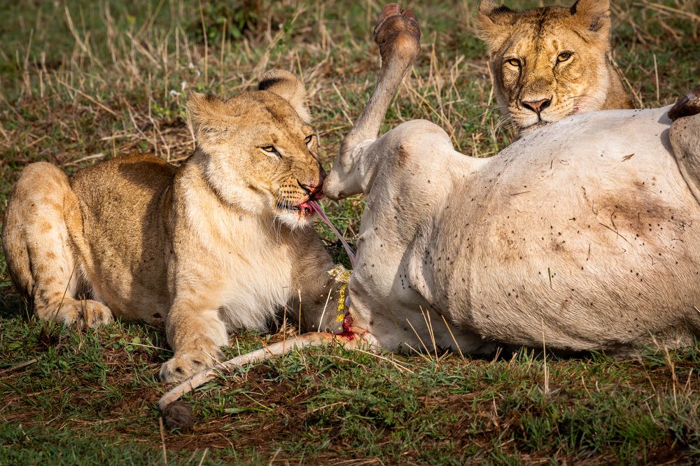 Photograph by Александр Горшенин