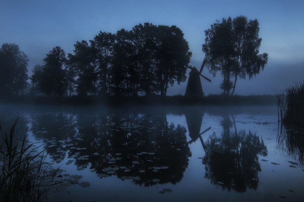 Photograph by Damian Cyfka