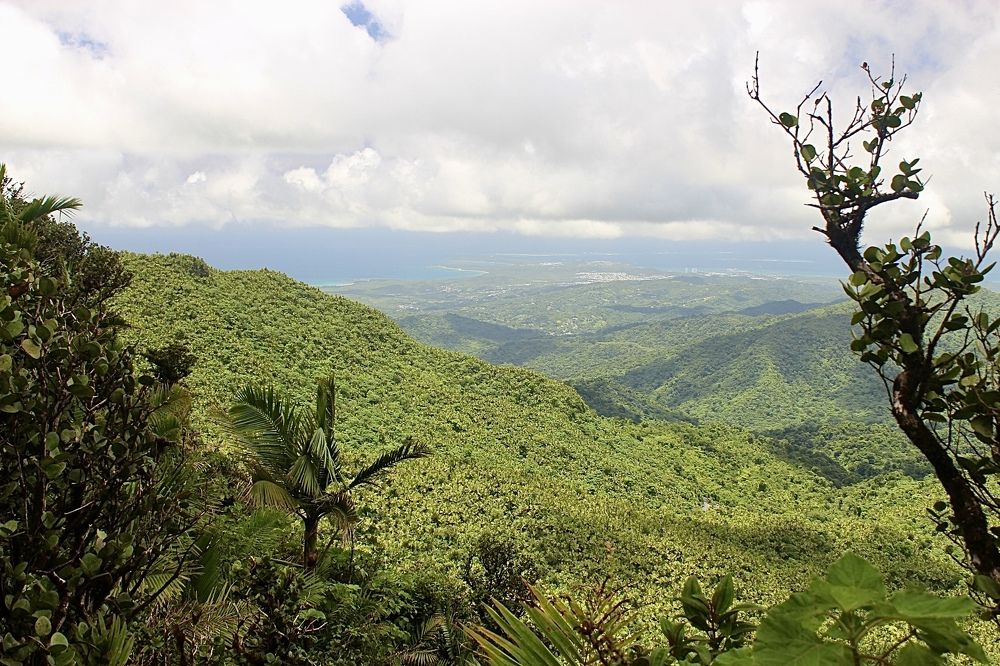 El Yunque National Forest