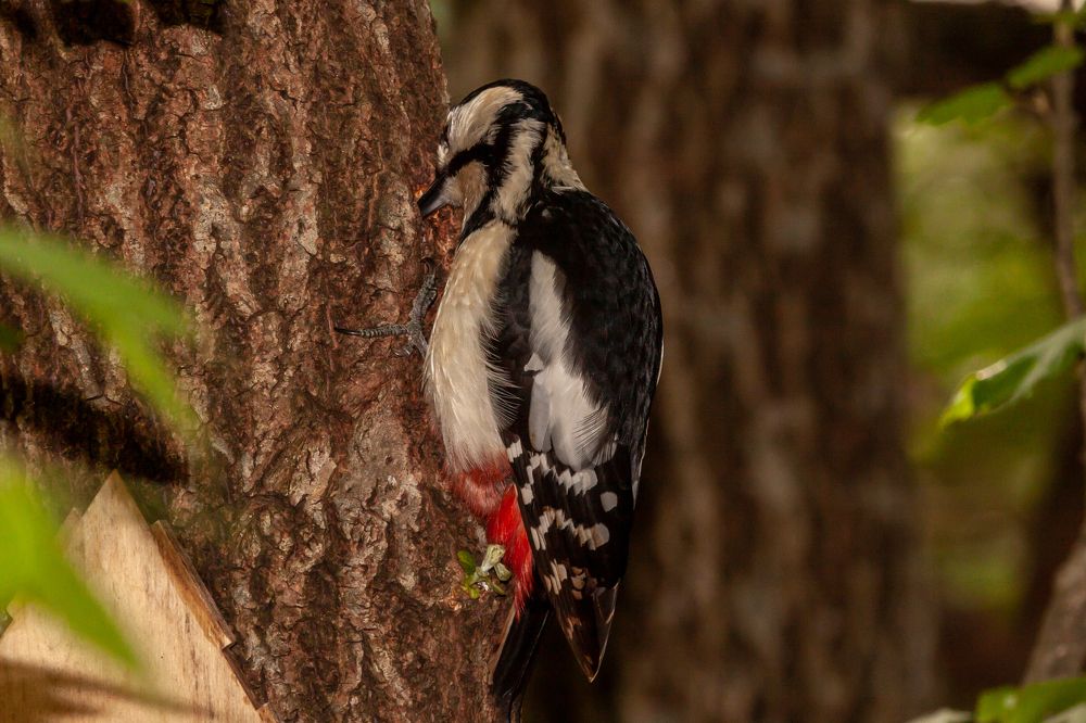 Photograph by Виталий Маслов