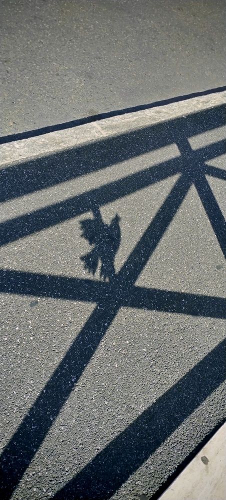 Photograph by Елена Егорова