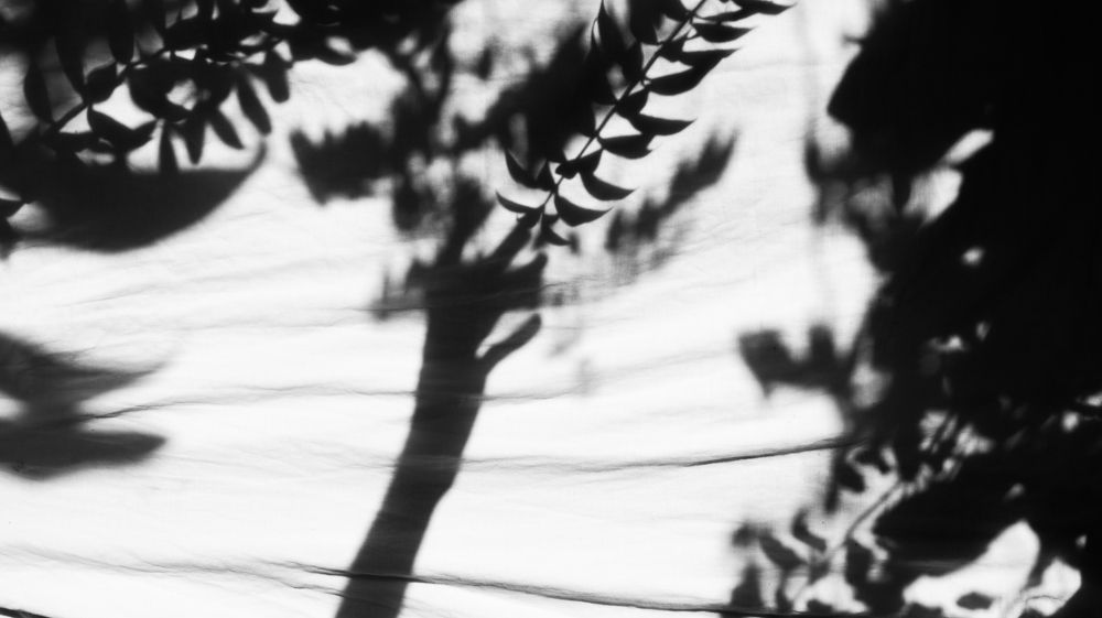 Photograph by Jaseem