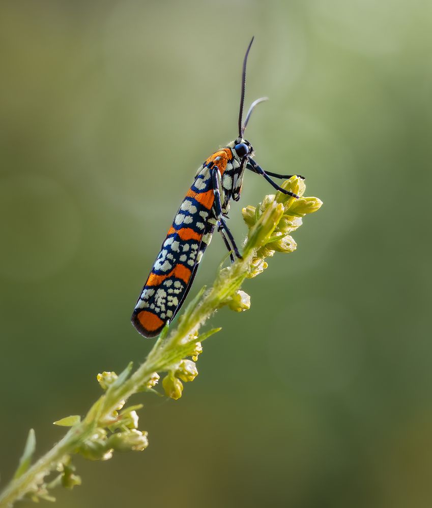 Photograph by Atul Saluja