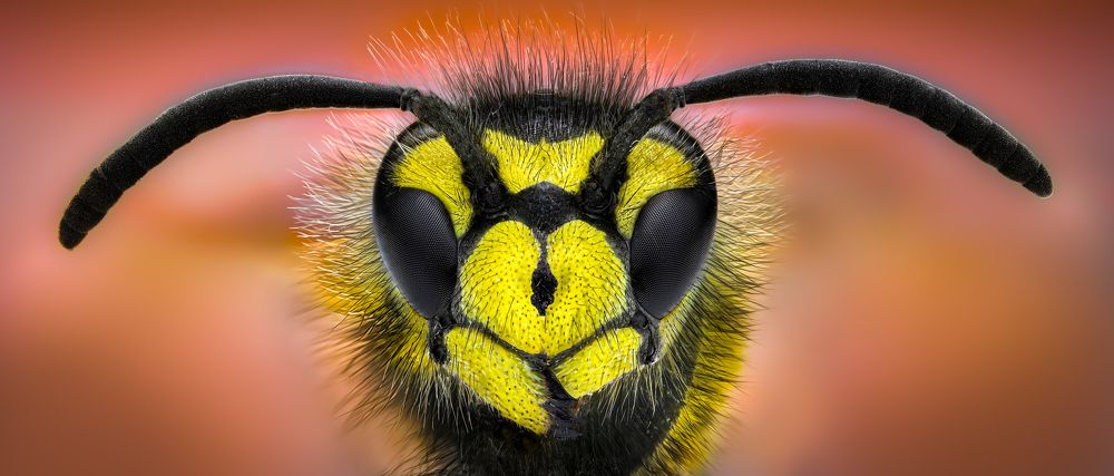 Photograph by Atul Saluja