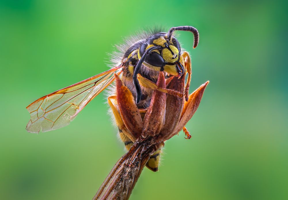 Photograph by Atul Saluja