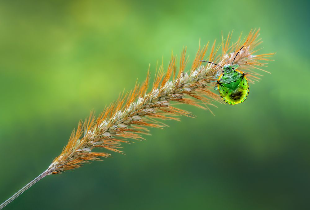 Photograph by Atul Saluja