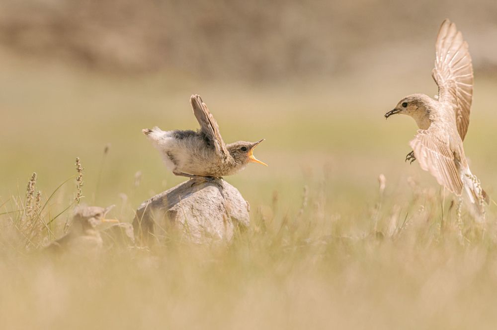 Photograph by Светлана Андреева