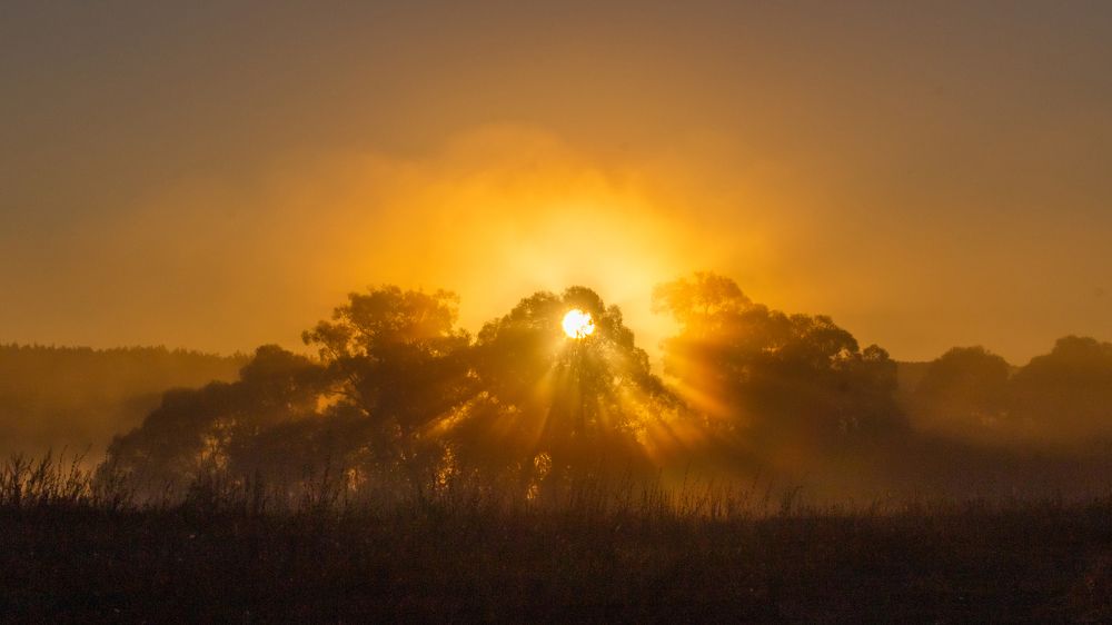 Photograph by Штунь Татьяна