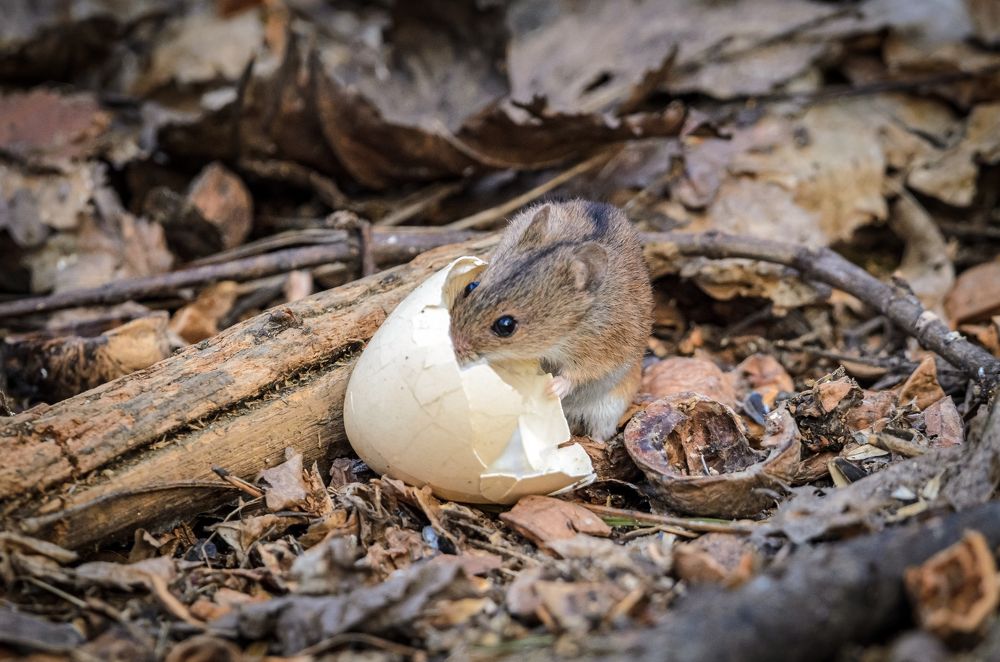 Фотография автора Юрий