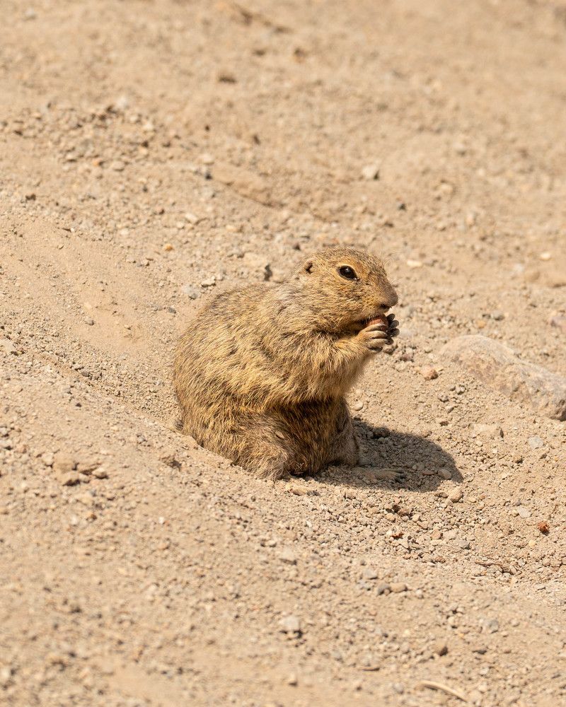 Photograph by Дарья Карамышева