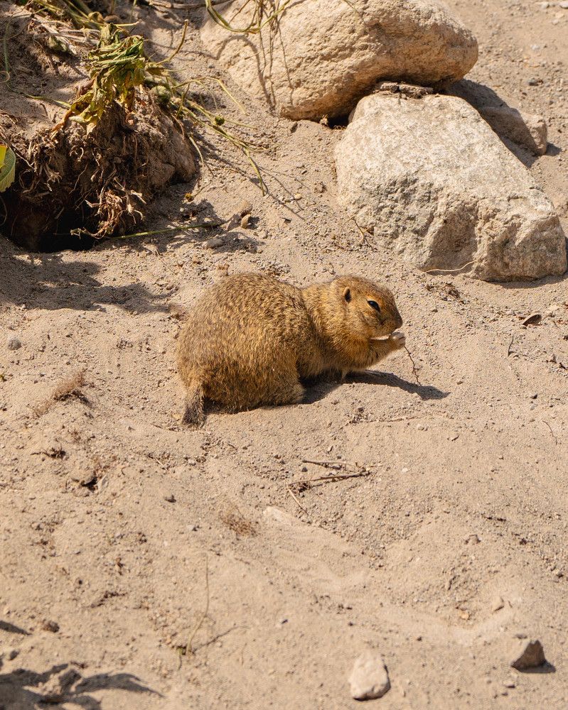 Photograph by Дарья Карамышева