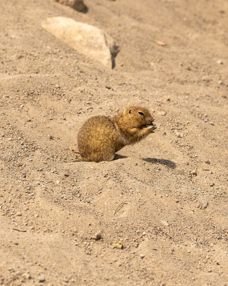 Photograph by Дарья Карамышева
