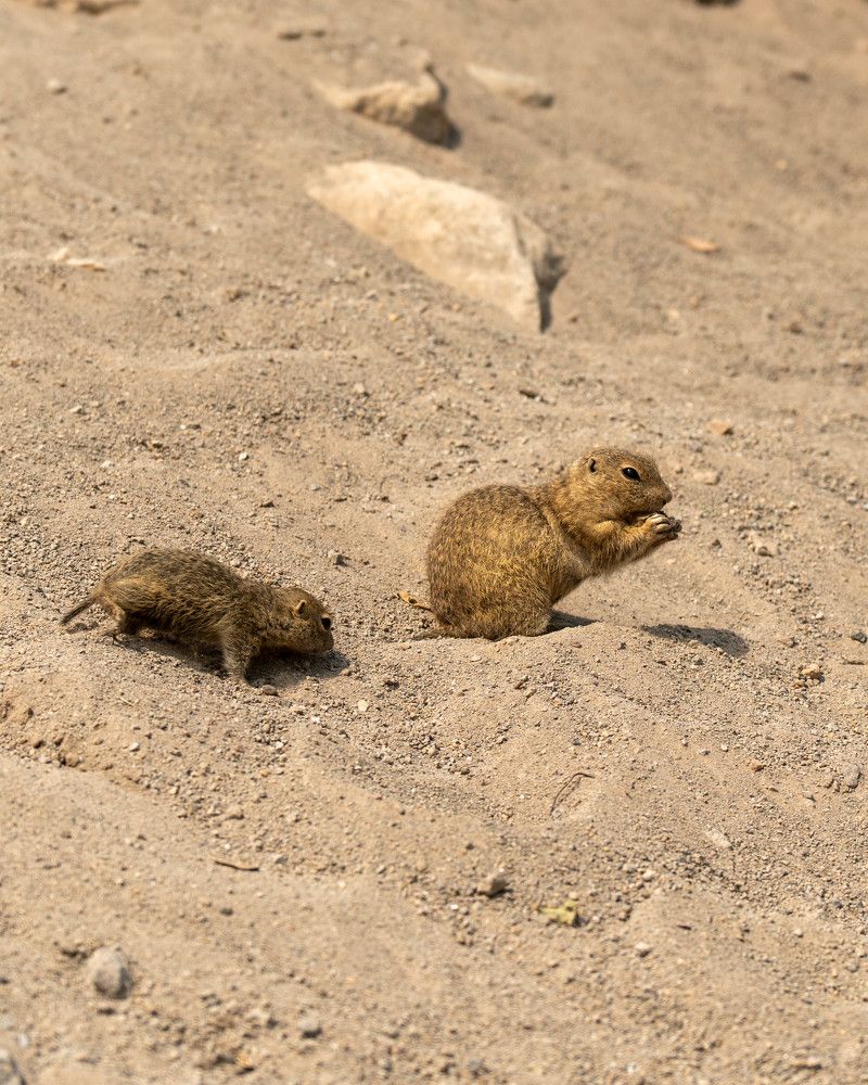 Photograph by Дарья Карамышева