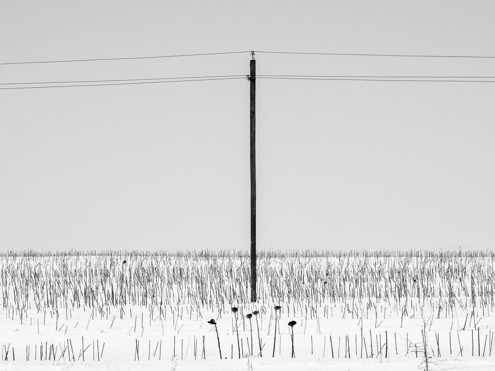 Photograph by Степанов Евгений