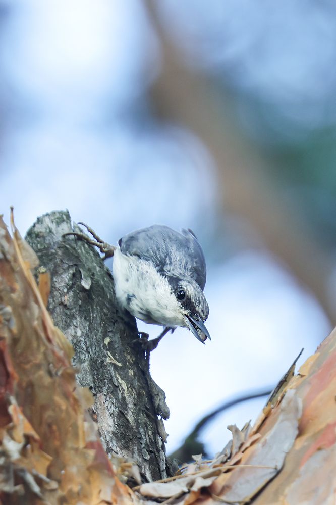 Photograph by Валерий Черняк