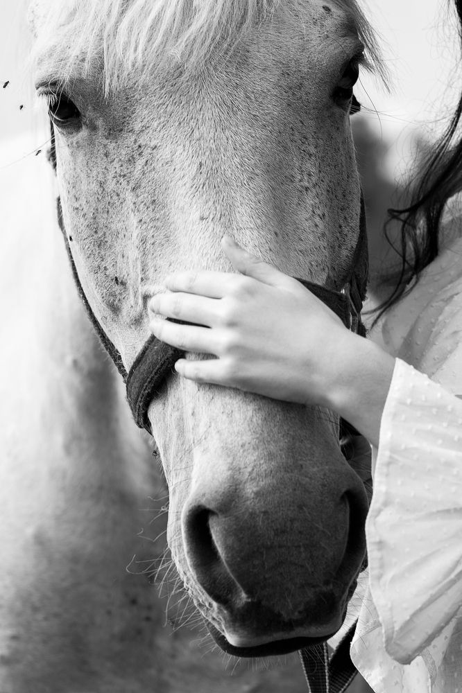 Photograph by Павлушина Ольга