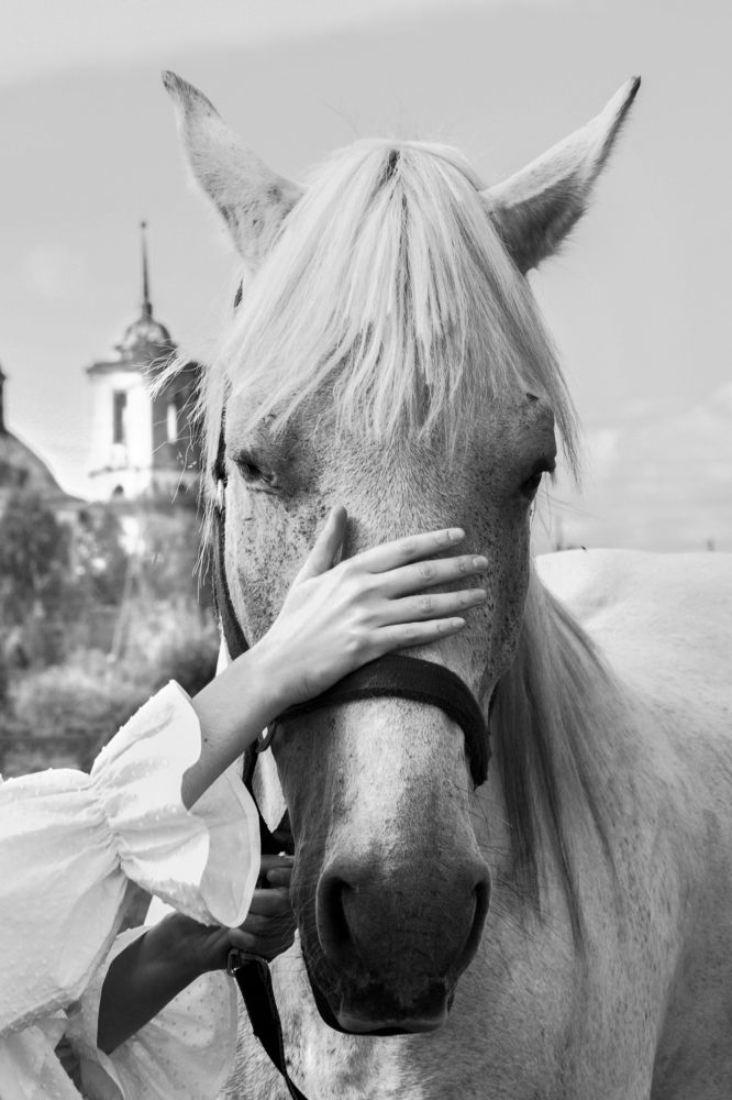 Photograph by Павлушина Ольга