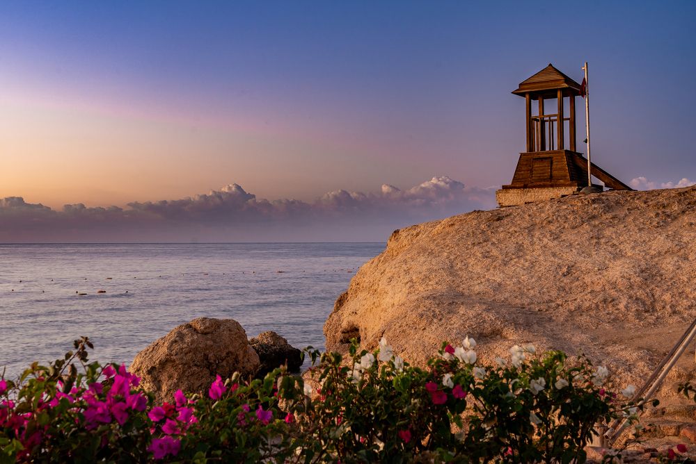 Photograph by Светлана Волкова