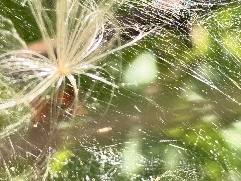 Photograph by Ольга Шабалина