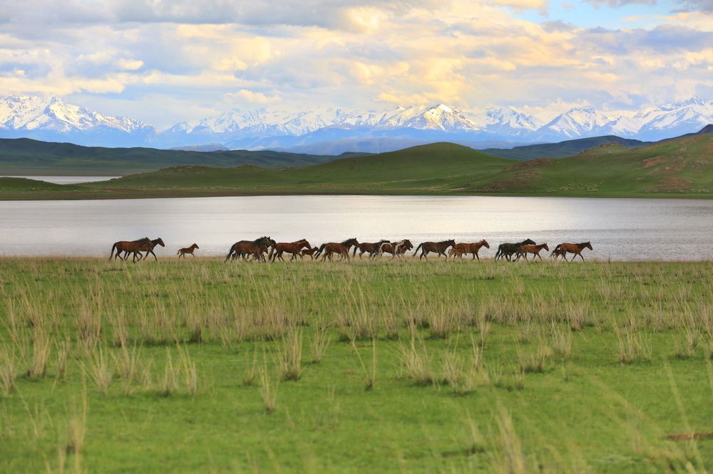 Photograph by Ирина Сушко