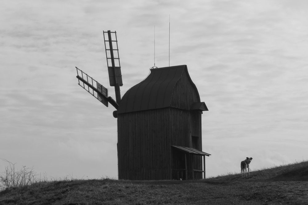 Photo #11030768