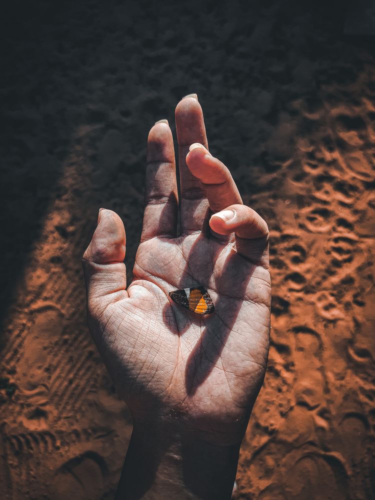 The fragility in the hands