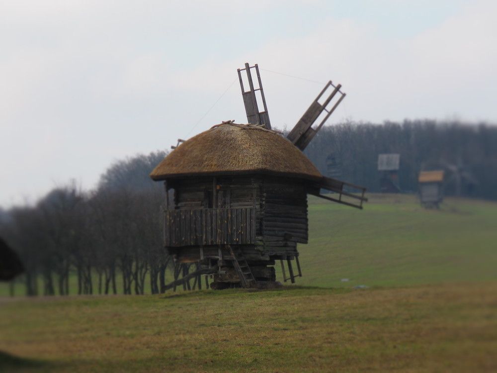 Photograph by Andrey Gridnev