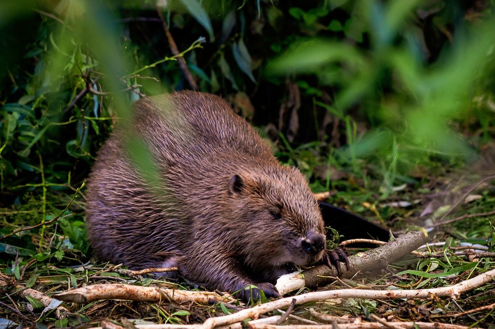 Photograph by Юлия Калугина