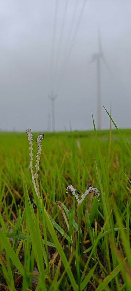 Photograph by Ranjit pawar