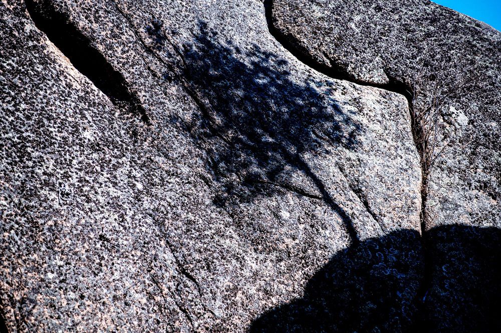 Photograph by Светлана Андреева