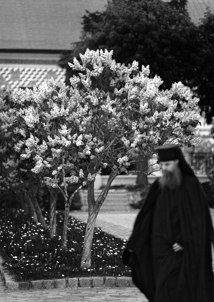 Фотография автора Alexey Drozdov