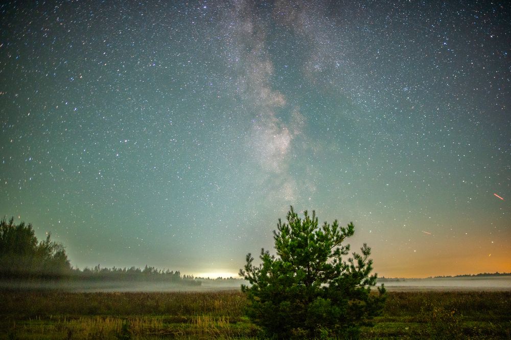 Photograph by Елена Ефимова