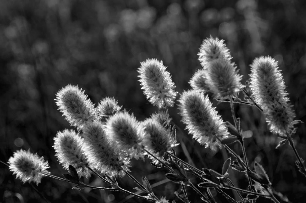 Photograph by Татьяна Романова