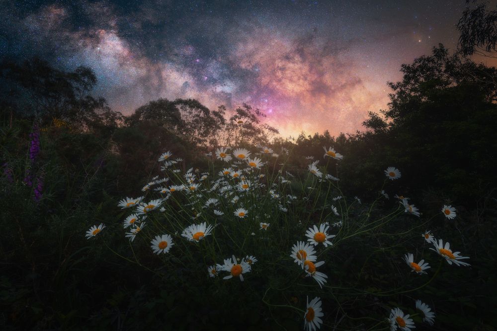 Photograph by Damian Varela