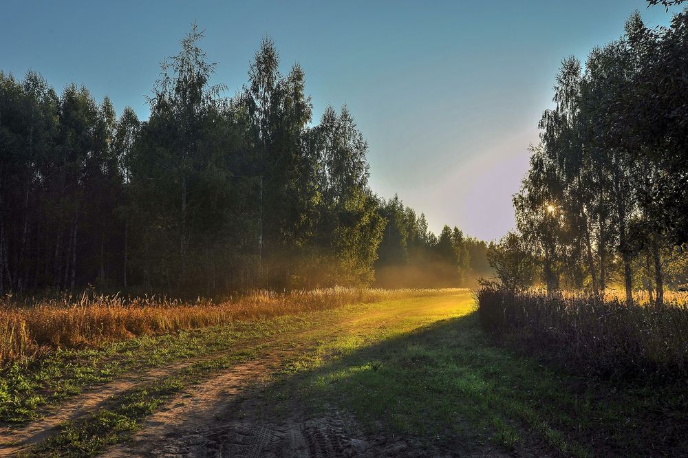Photograph by Cергей Абакумов
