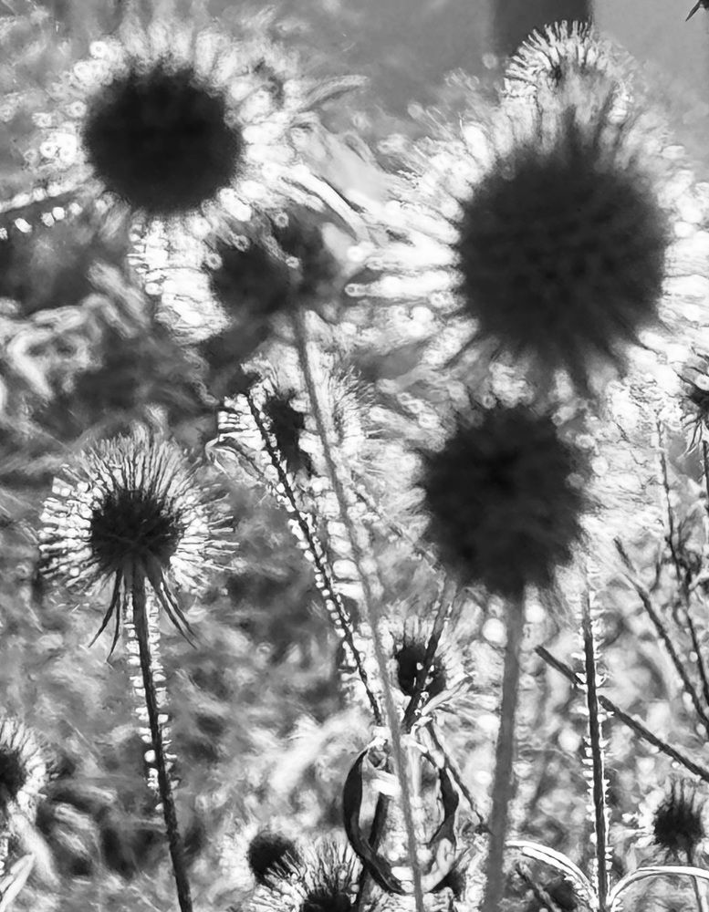 Photograph by Ольга Шабалина