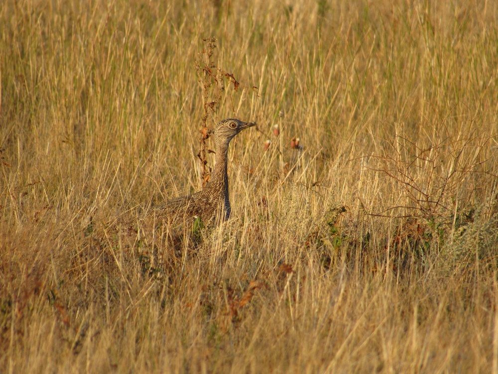 Photograph by Денис Веску