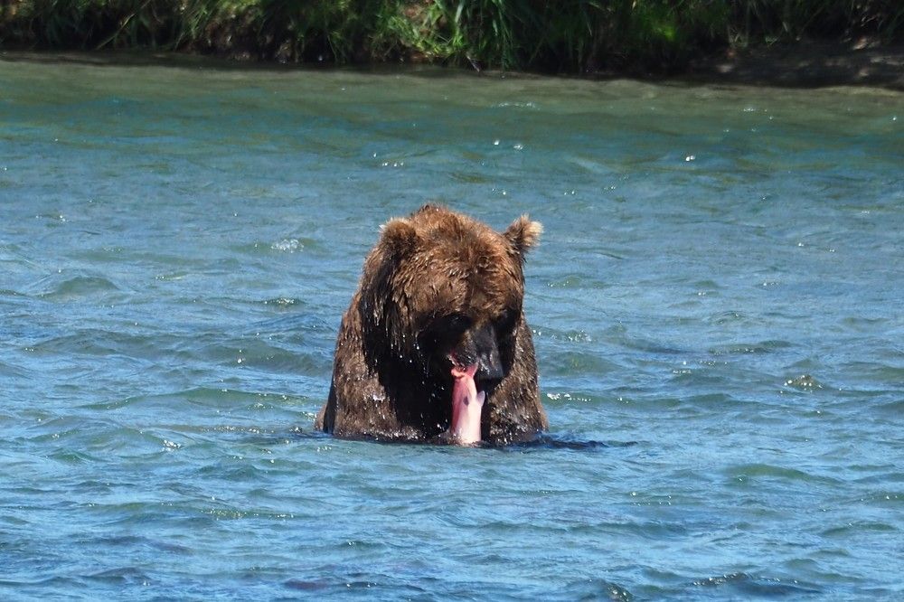 Photograph by Анна Тиунова