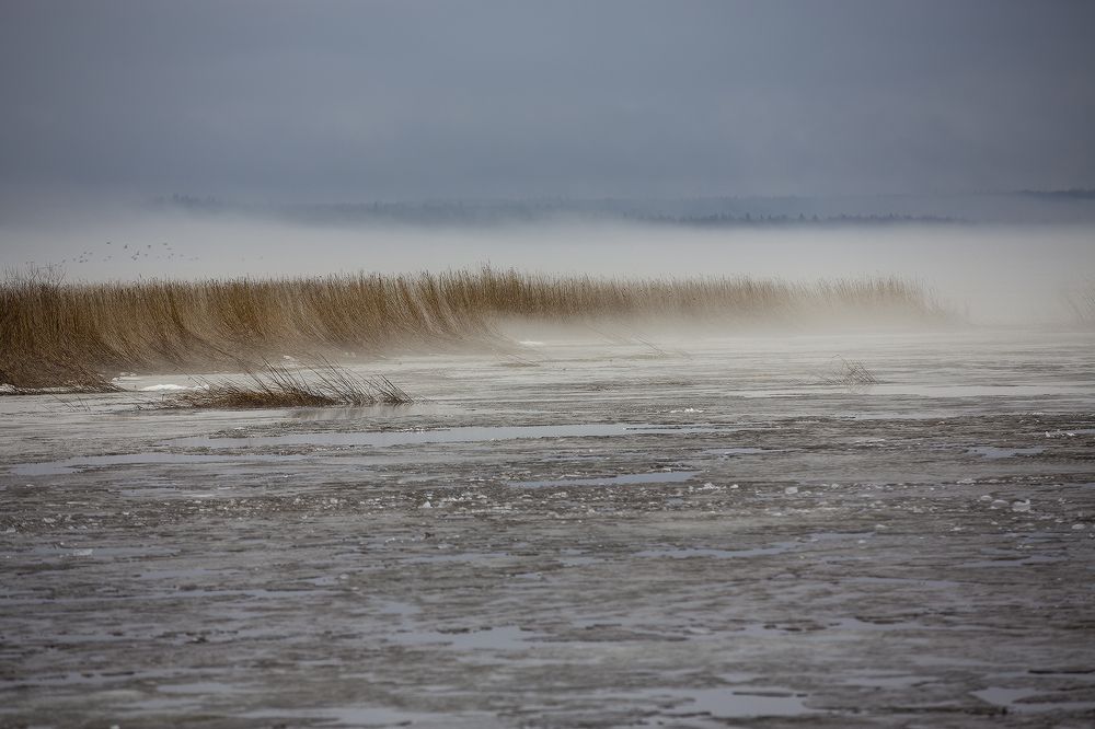 Утренний туман