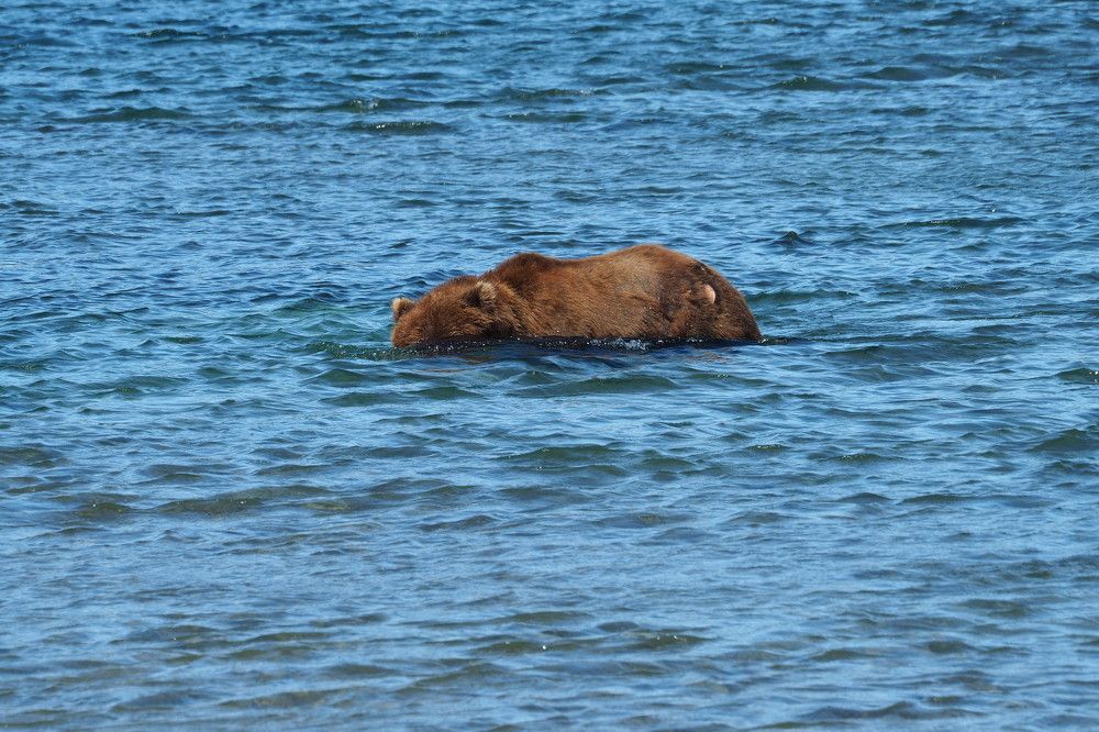 Photograph by Анна Тиунова