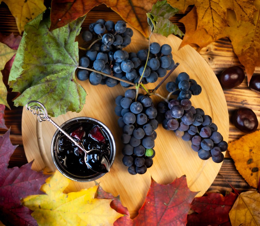 Photograph by ирина нестерова