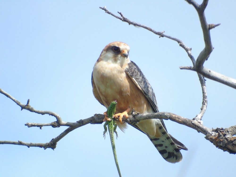 Photograph by Денис Веску