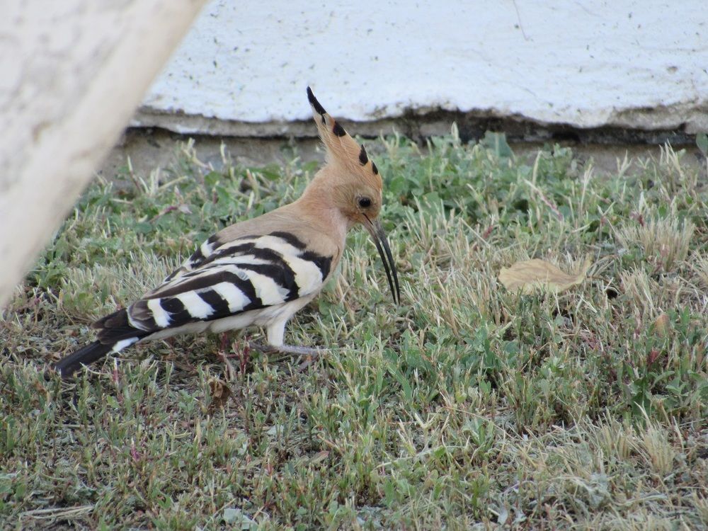 Photograph by Денис Веску