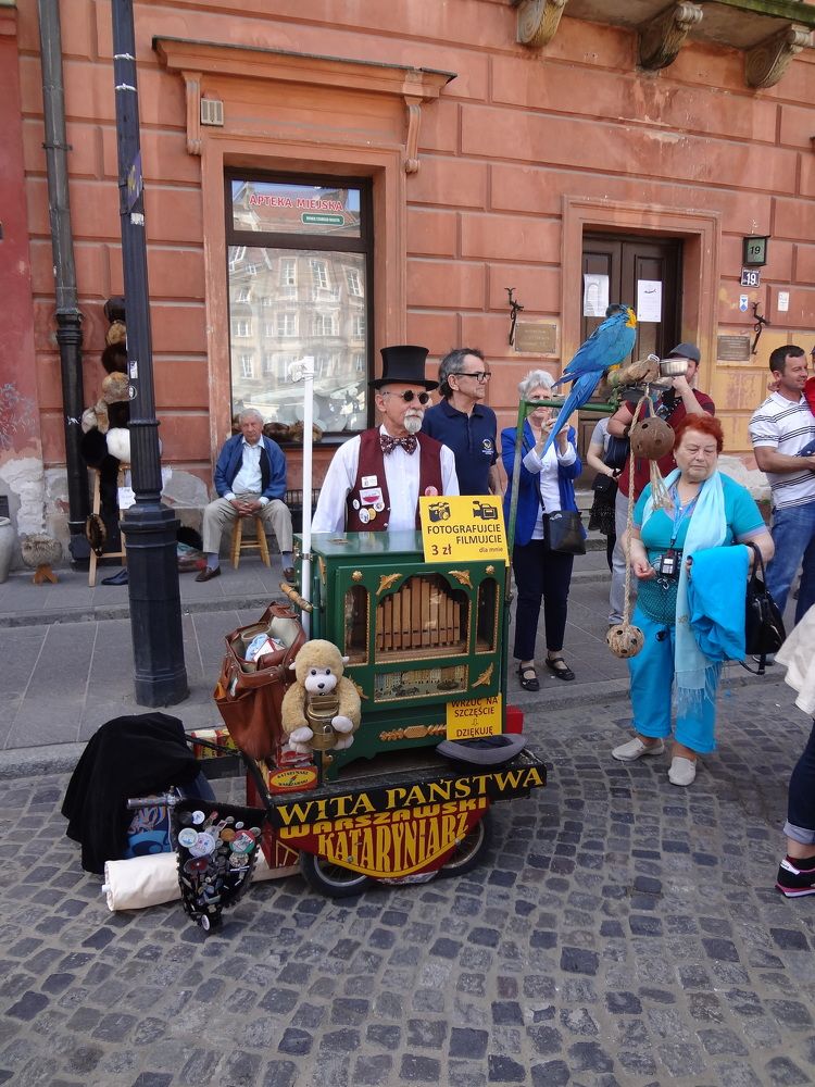 Фотография автора Елена Пикатова