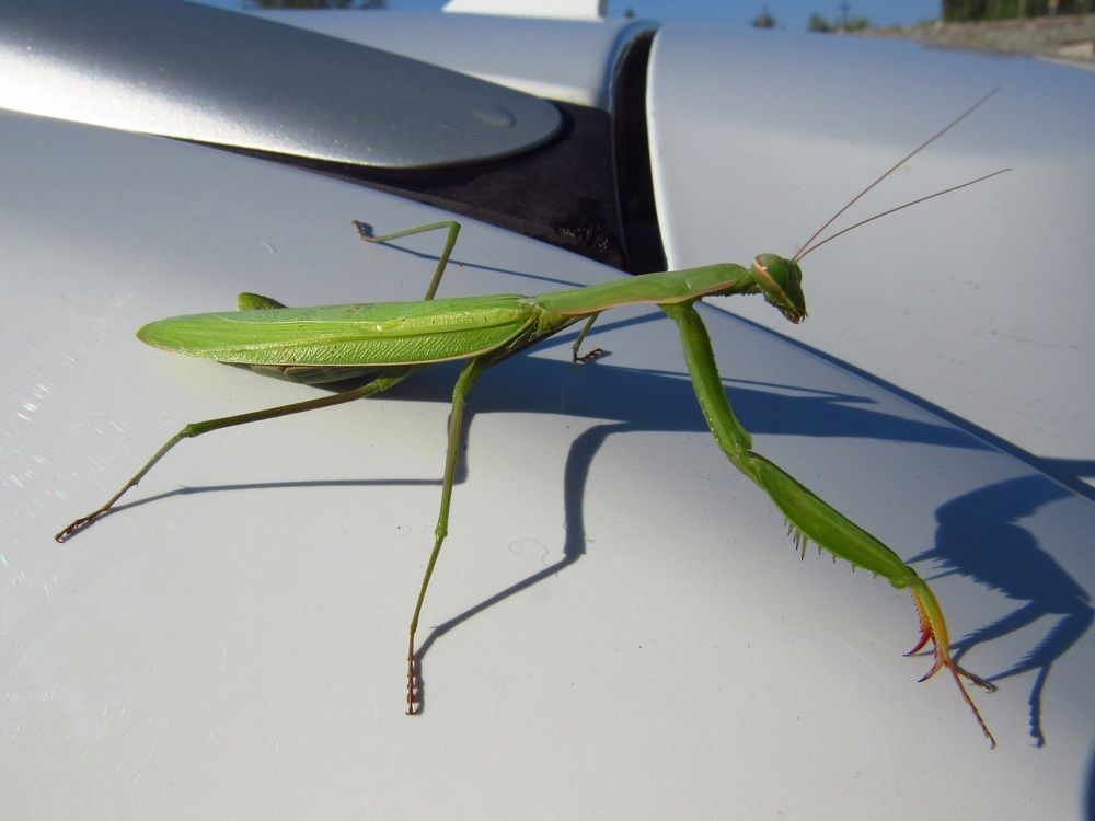 Photograph by Денис Веску